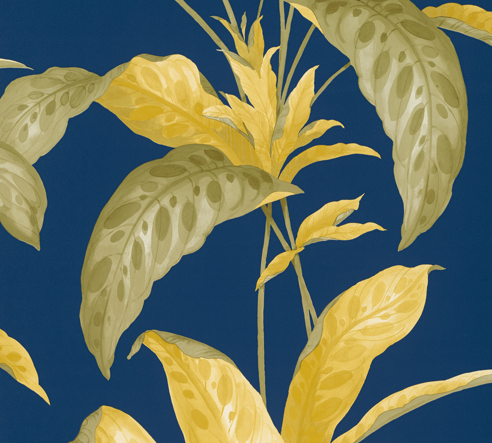 Обои Paint & Paper Library Botany Tropicane Plimsoll 0360TRPLIMS